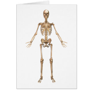 Human Skeletal System, Front View Hälsningskort
