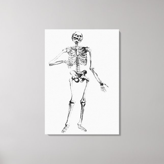Human Skeleton Canvastryck (Framsida)