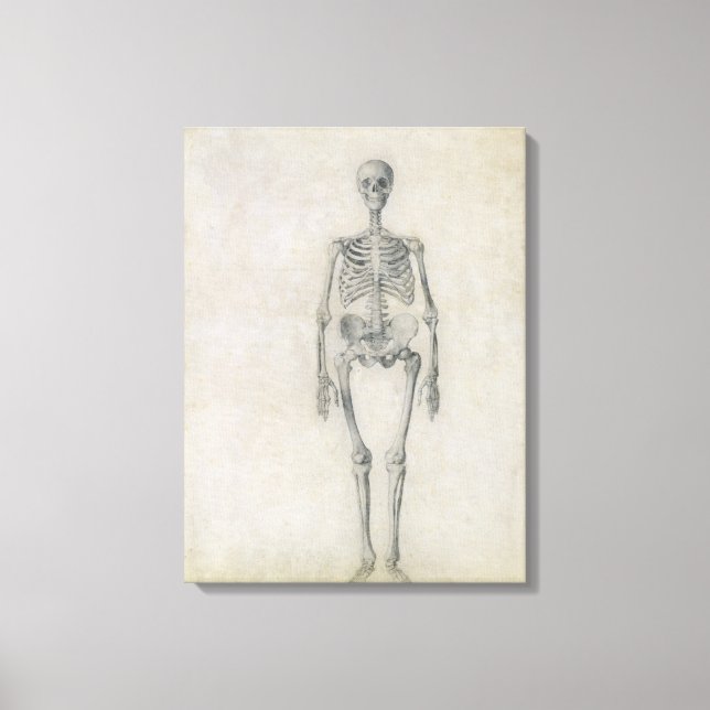 Human Skeleton, framsidan, från serien Canvastryck (Framsida)