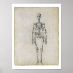 Human Skeleton, framsidan, från serien Poster