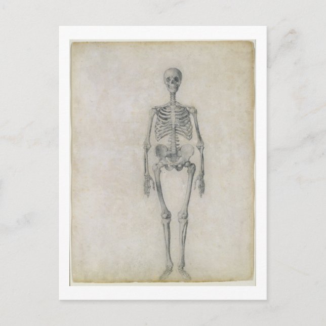Human Skeleton, framsidan, från serien Vykort (Framsida)