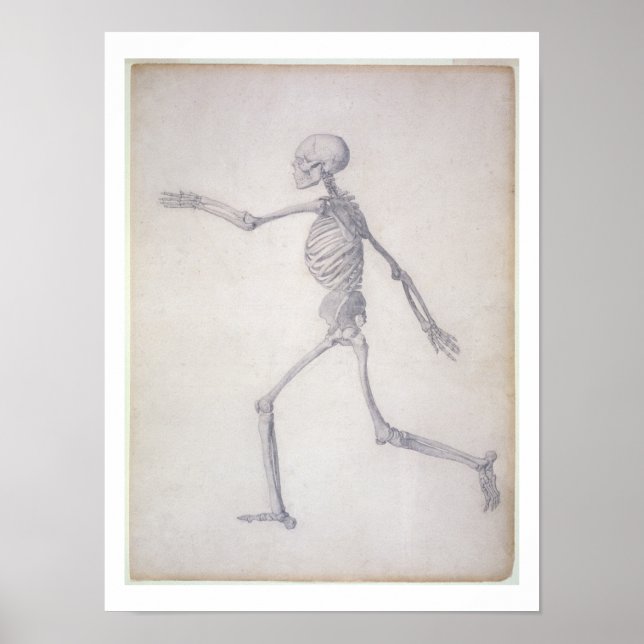 Human Skeleton, från sidan, från serien Poster (Framsidan)