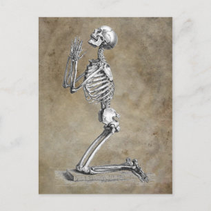 Human Skeleton Kneeling i Prayer Vykort