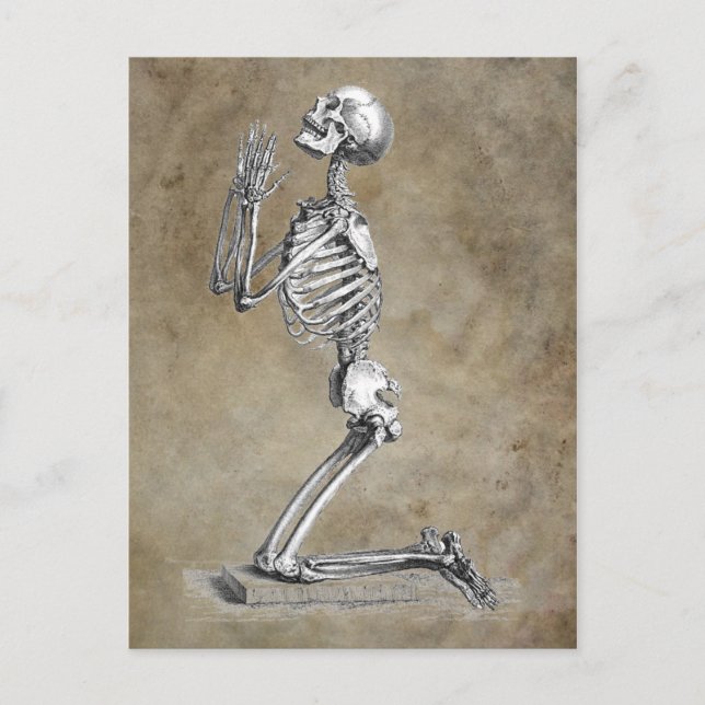 Human Skeleton Kneeling i Prayer Vykort (Framsida)