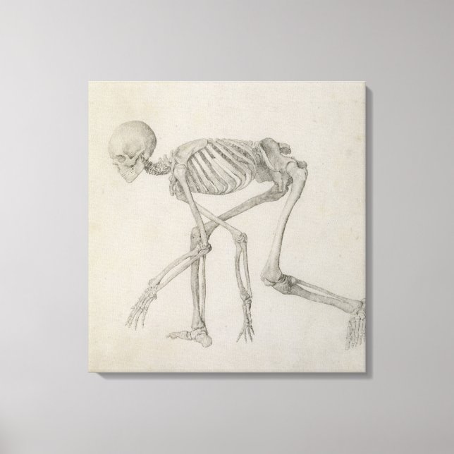 Human Skeleton: Lateral syn i Crouching Posture. Canvastryck (Framsida)