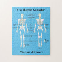 Human Skeleton Puzzle märkt