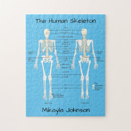 Human Skeleton Puzzle märkt Pussel