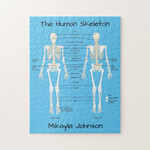 Human Skeleton Puzzle märkt Pussel