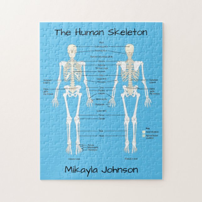 Human Skeleton Puzzle märkt Pussel (Vertikal)