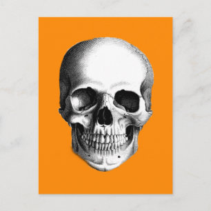 Human Skull på Halloween Orange Postcard Vykort