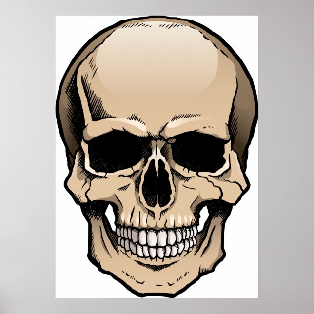 Human Skull Poster (Framsidan)