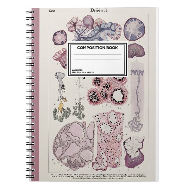 Human Tissue Histology Atlas Notebook Anteckningsbok (Framsidan)