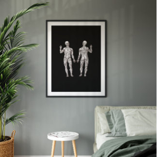 Humanatomi - Muskelsystemet Poster