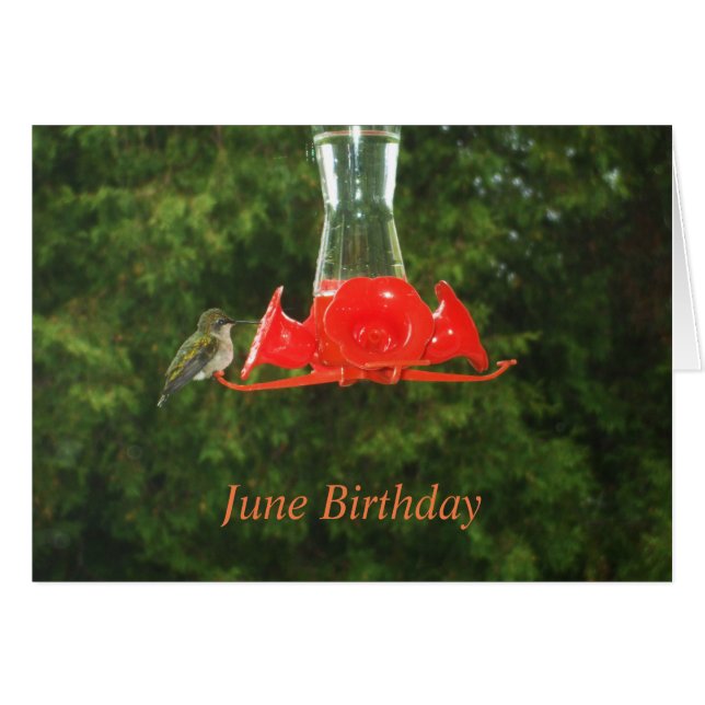 Humande föda vid matare hälsningskort (Framsidan Horizontal)