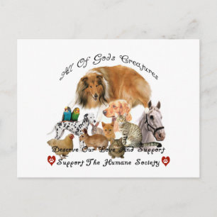 Humane Society All God's Creatures Animal Support Vykort