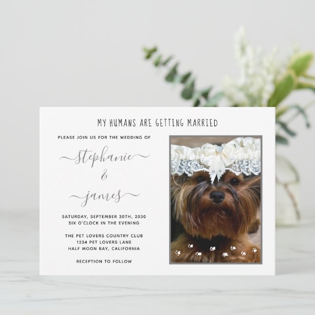Humaner Gifta sig Djurälskare Photo Bröllop Inbjudningar (Stående Fram)