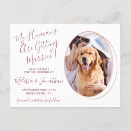 Humaner Gifta sig Photo Pet Bröllop Ro Guld Meddelande Vykort