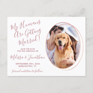 Humaner Gifta sig Photo Pet Bröllop Ro Guld Meddelande Vykort