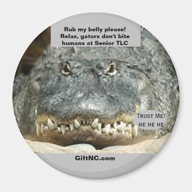 Humaner vid magnet för högnivågenerator för TLC-ro (Framsidan)