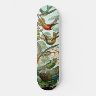 Humanfåglar Mini Skateboard Bräda 18,5 Cm