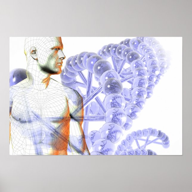 Humangenomet Poster (Framsidan)