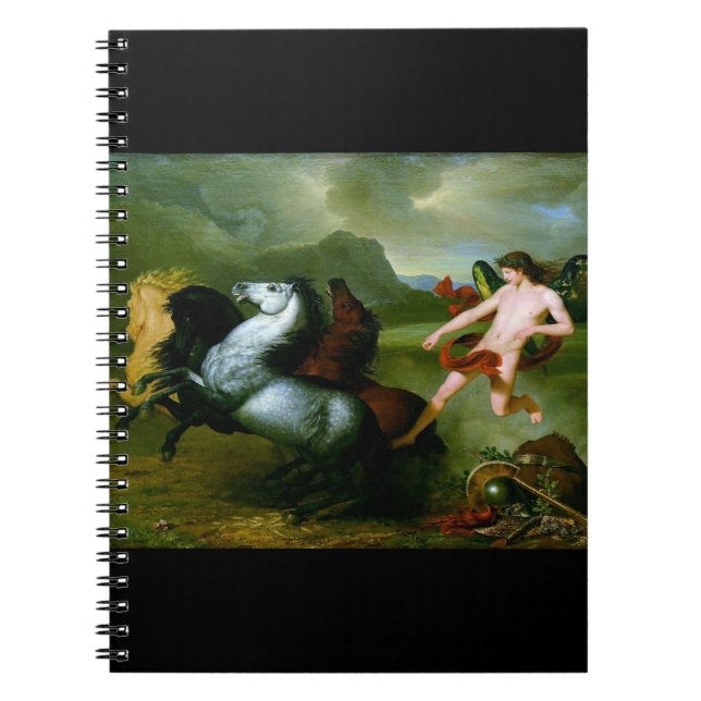 Humanitär sprit 1793 anteckningsbok (Framsidan)