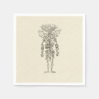 Humant anatomi Arteries Antique Illustration Pappersservett