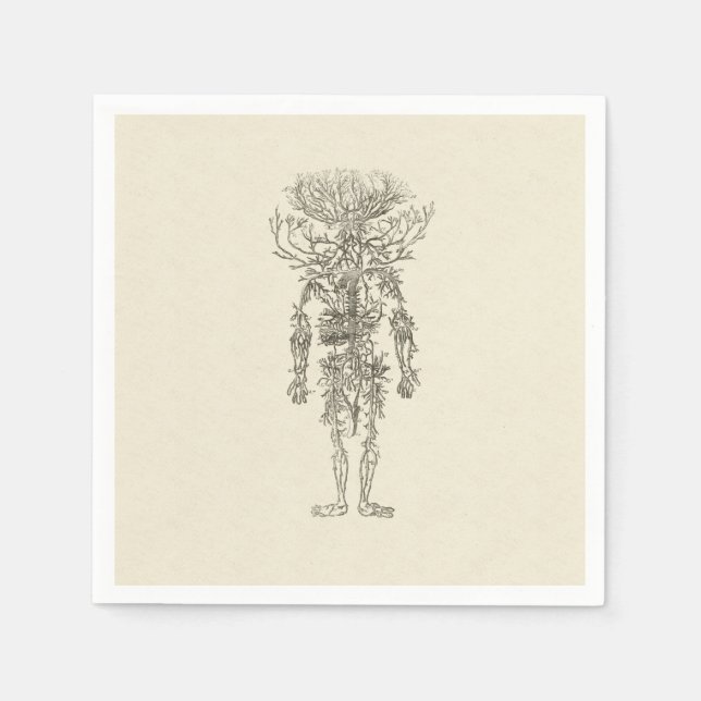 Humant anatomi Arteries Antique Illustration Pappersservett (Framsidan)