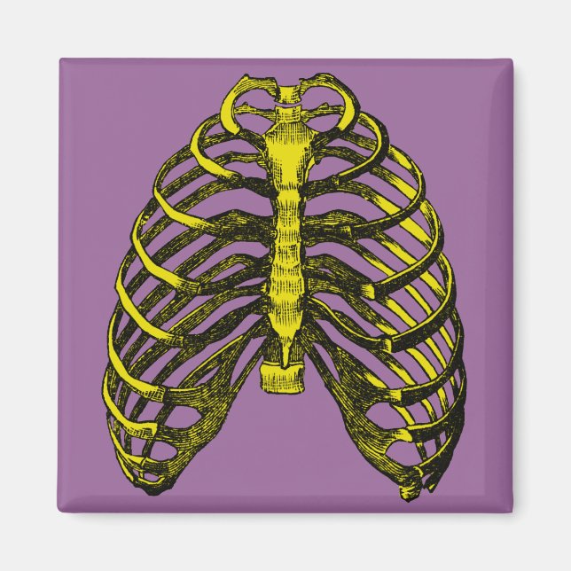 Humant anatomi Rib Cage Magnet (Framsidan)