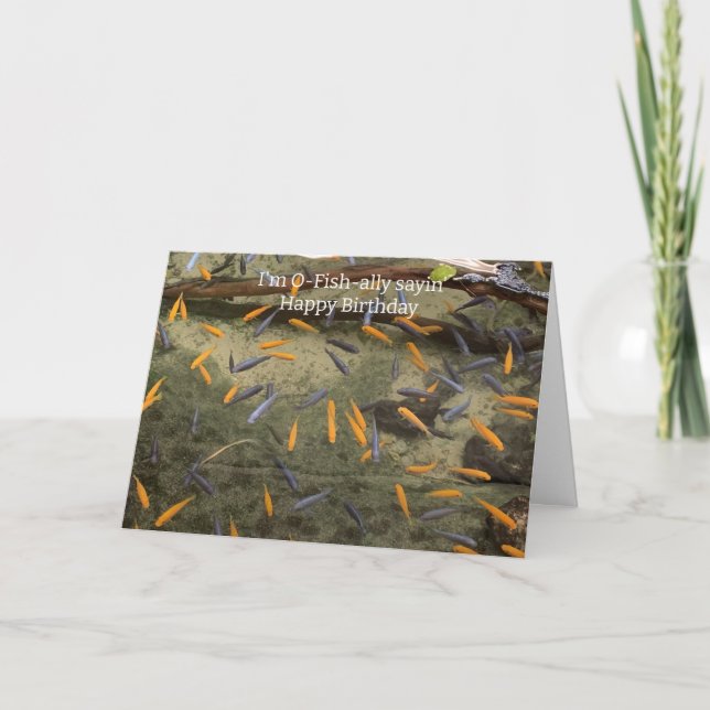 Humant fiskfödelsekort kort (Framsida)