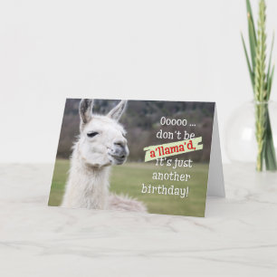 Humant födelsedagskort - Lycklig Llama Kort