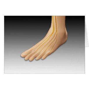 Humant fot med nervsystem 2 hälsningskort