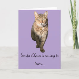 Humant julkort med charmig tabby katt tack kort