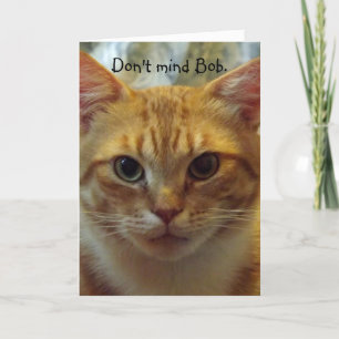 Humant kattfödelsedagskort kort