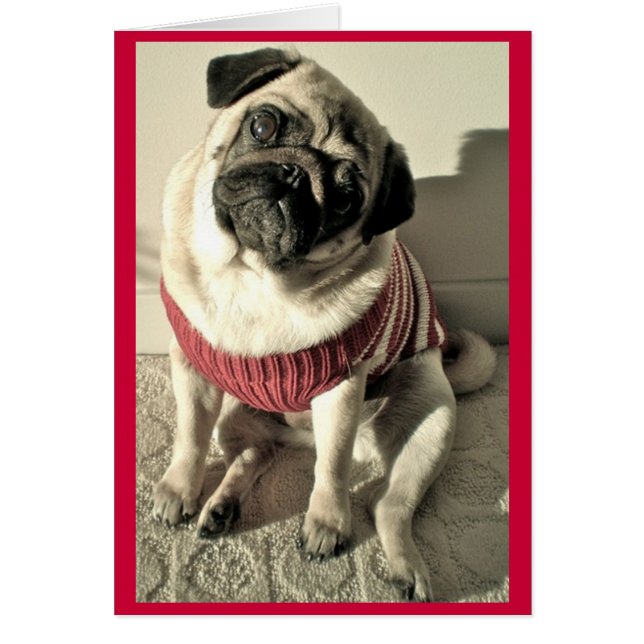 Humant Pug Valentine Card Hälsningskort (Framsidan)