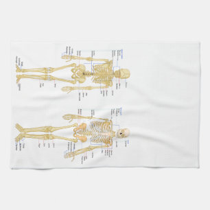 Humant Skeleton märkt anatomi diagram Kökshandduk