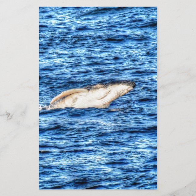 HUMBACK WHALE QUEENSLAND AUSTRALIA (Framsida)