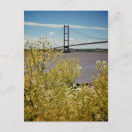 Humber Bridge i Sol [vykort] Vykort