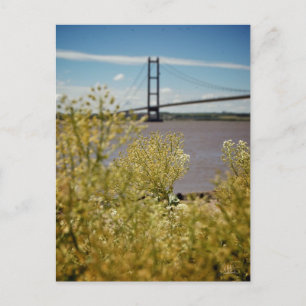 Humber Bridge i Sol [vykort] Vykort