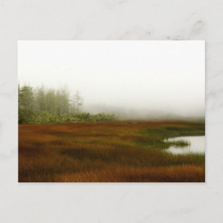 Humboldt Lagoon Vykort