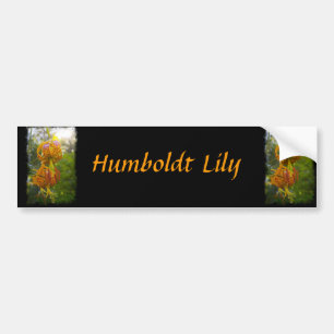 Humboldt Lilies Sunburst Bildekal