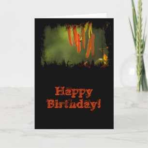 Humboldt Lily Stamens Birthday Kort