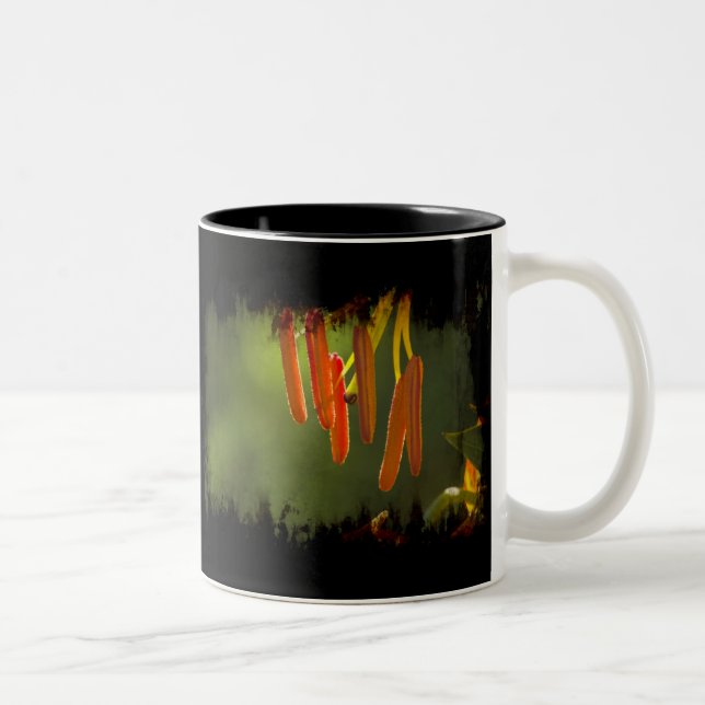 Humboldt Lily Stamens Två-Tonad Mugg (Höger)
