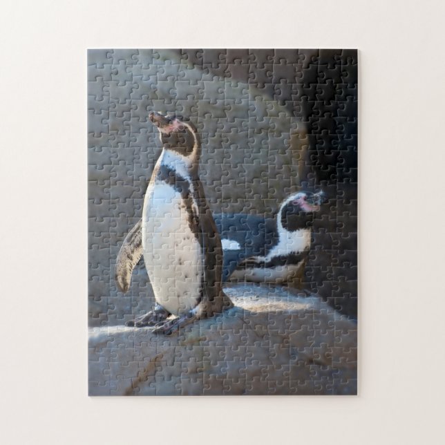 Humboldt Penguin Jigszle puzzle Pussel (Vertikal)