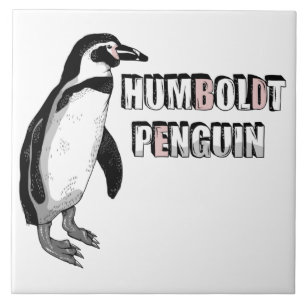 Humboldt penguin kakelplatta