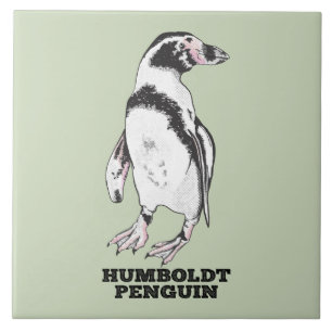 Humboldt penguin kakelplatta