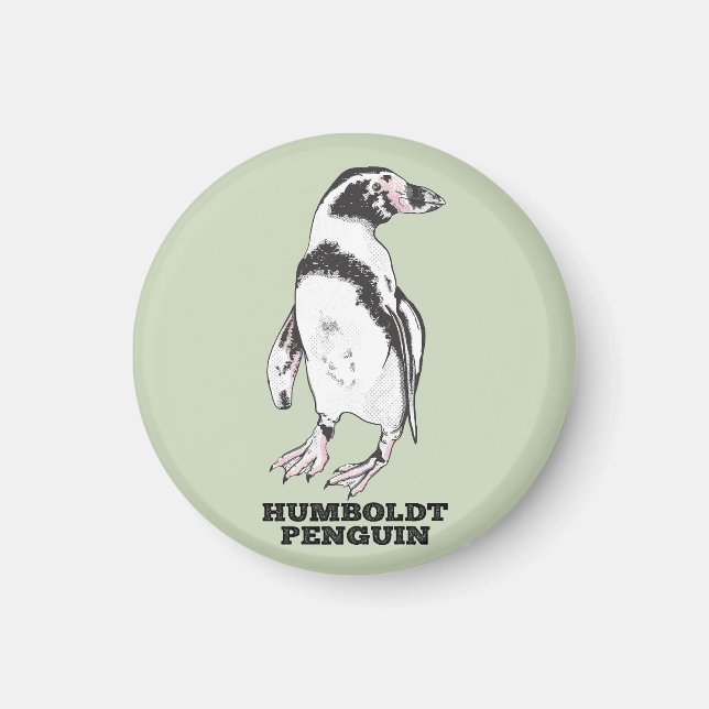 Humboldt penguin magnet (Framsidan)