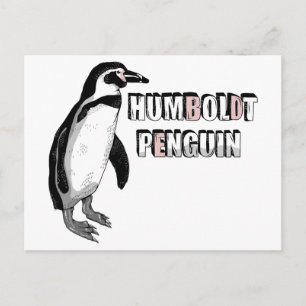 Humboldt penguin vykort