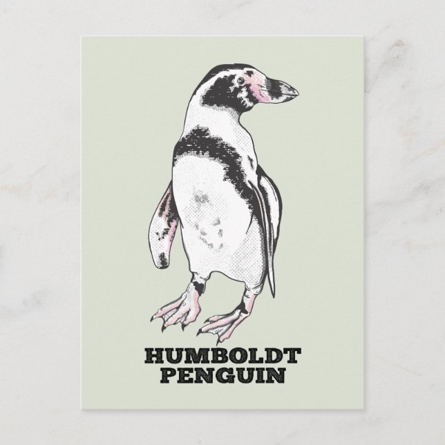 Humboldt penguin vykort (Framsida)