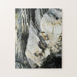 Humboldt Penguins. Pussel